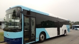 Interline buses - tfNSW